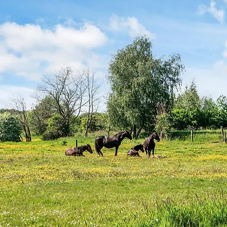 Feriehus House With Beautiful Garden Glesborg